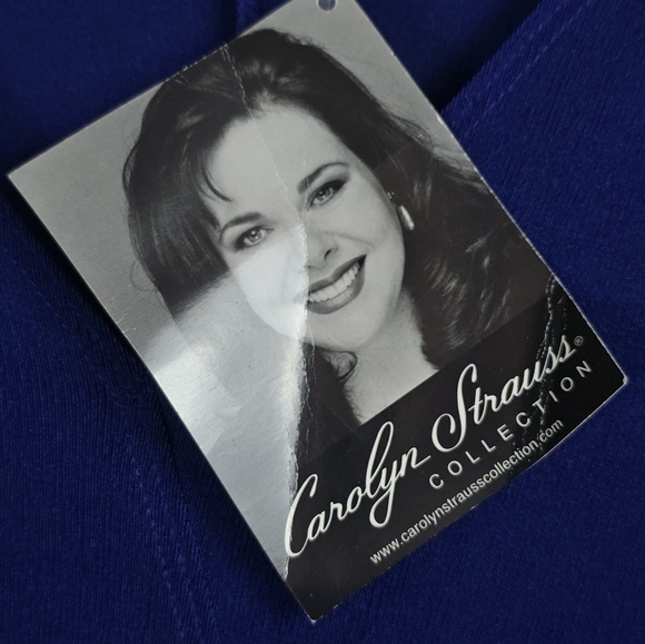 NWT Carolyn Strauss Shimmery Royal Blue Swing Dress Plus 2X - Picture 5 of 9